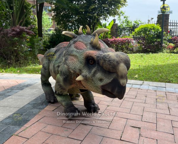 DWDR1004 Walking Pachyrhinosaurus Robot For Dinosaur Park - Image 4