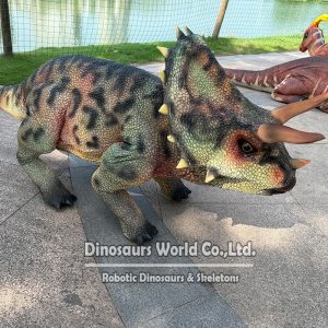 DWDR1003-3 Dancing Triceratops Robot
